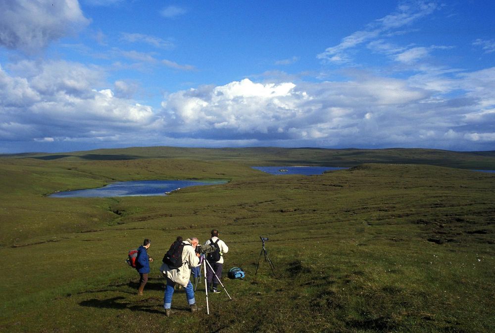 En balade dans les tourbières de Yell
