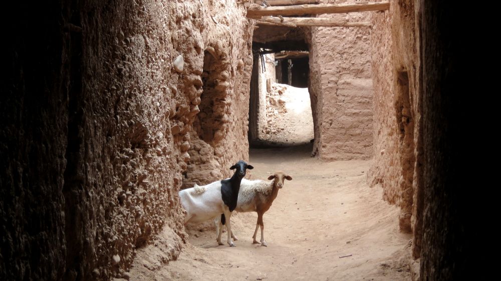 Authenticité des Kasbahs