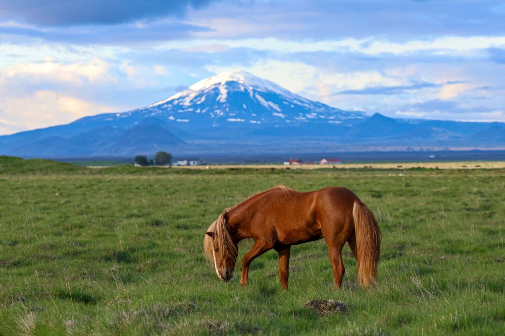 Photo voyage Islande 6