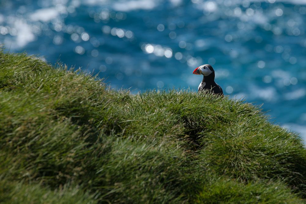 Photo voyage Islande 2