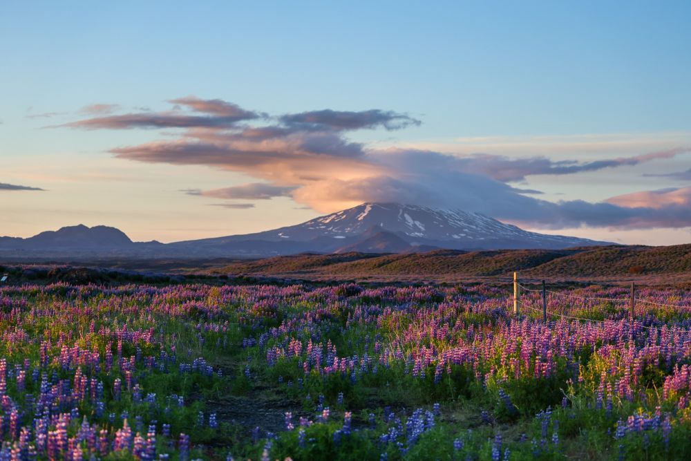Photo voyage Islande 5