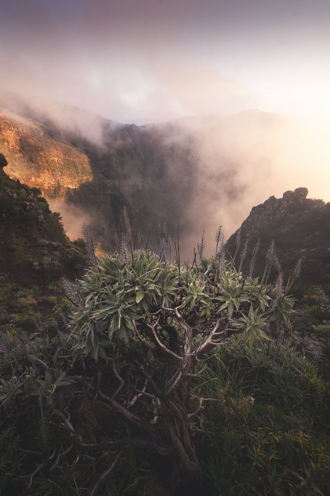 Photo voyage Portugal 7