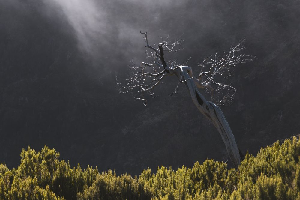 Photo voyage Portugal 1