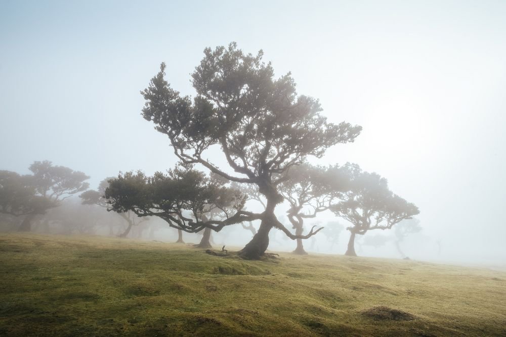 Photo voyage Portugal 13