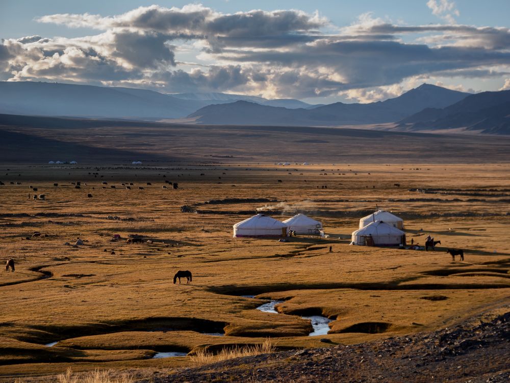 Campement nomade au coeur de l'Altaï