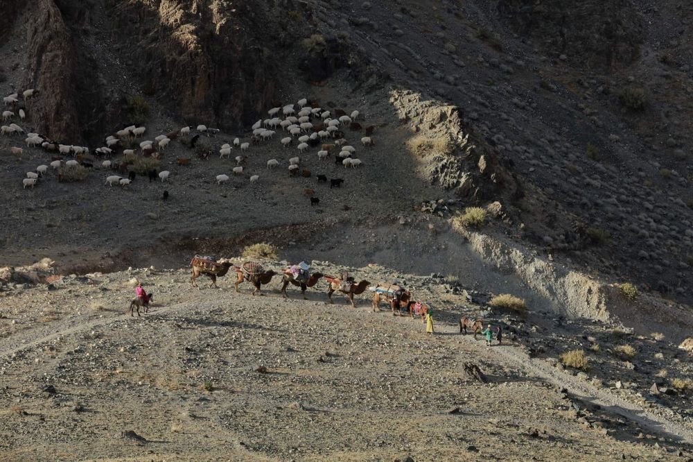 Passage de col lors de la transhumance