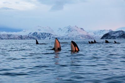 Photo voyage Norvège 1