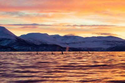 Photo voyage Norvège 2