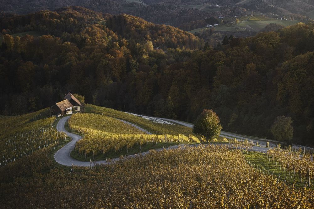 Photo voyage Slovénie 17