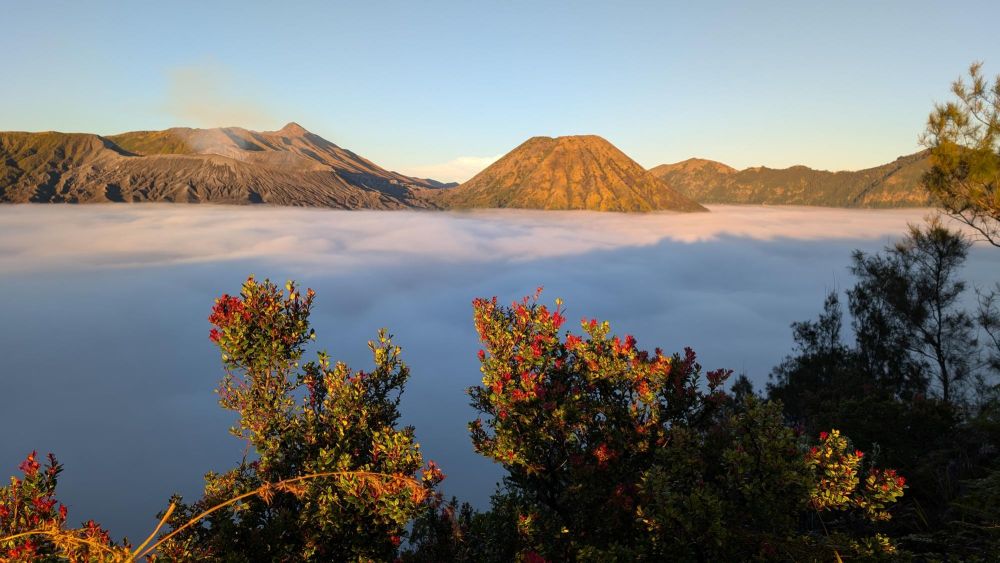 Caldeira du Bromo émergeant de la brume au petit matin