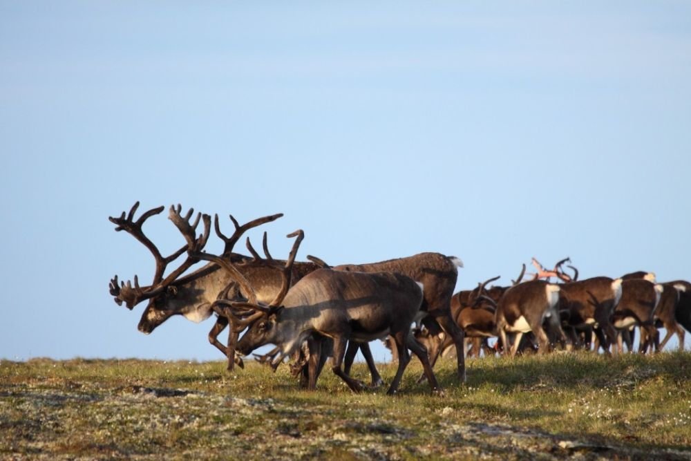 Photo voyage Norvège 1