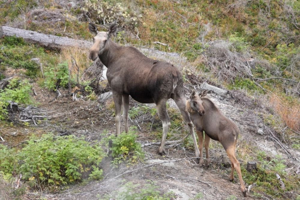 Photo voyage Norvège 15