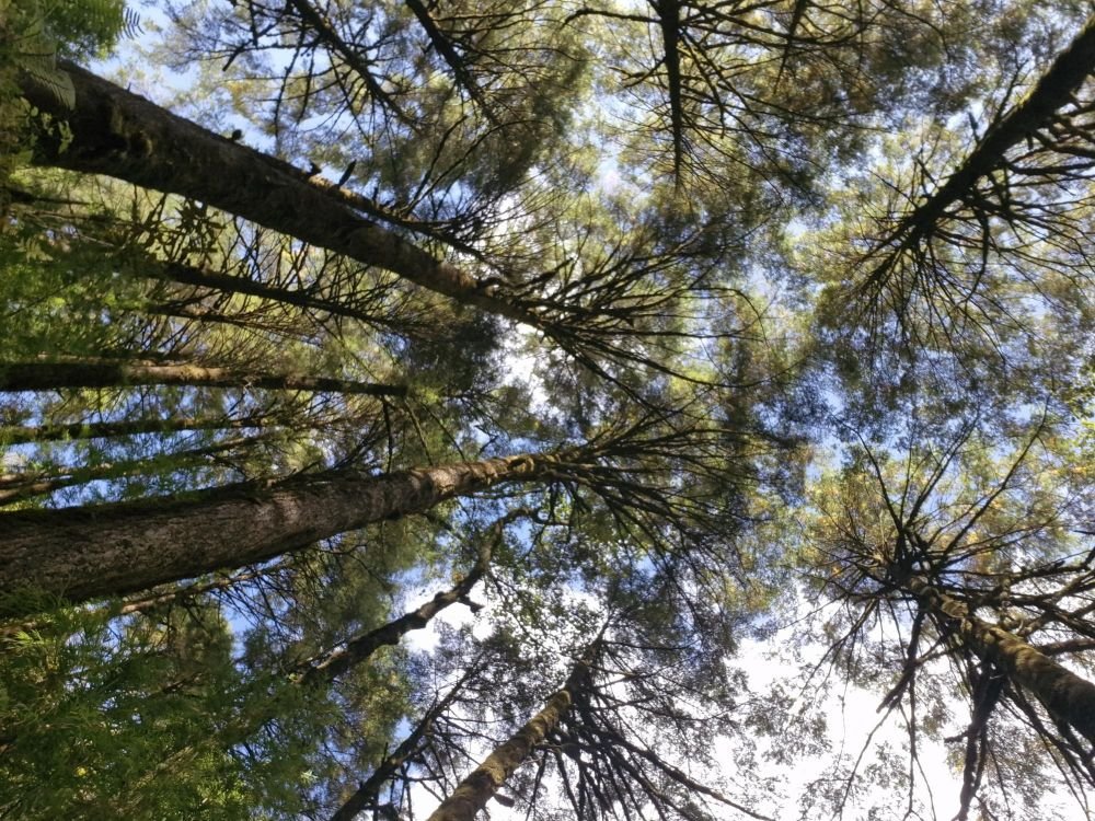 dernières étapes de resdecente du Lumba Sumba