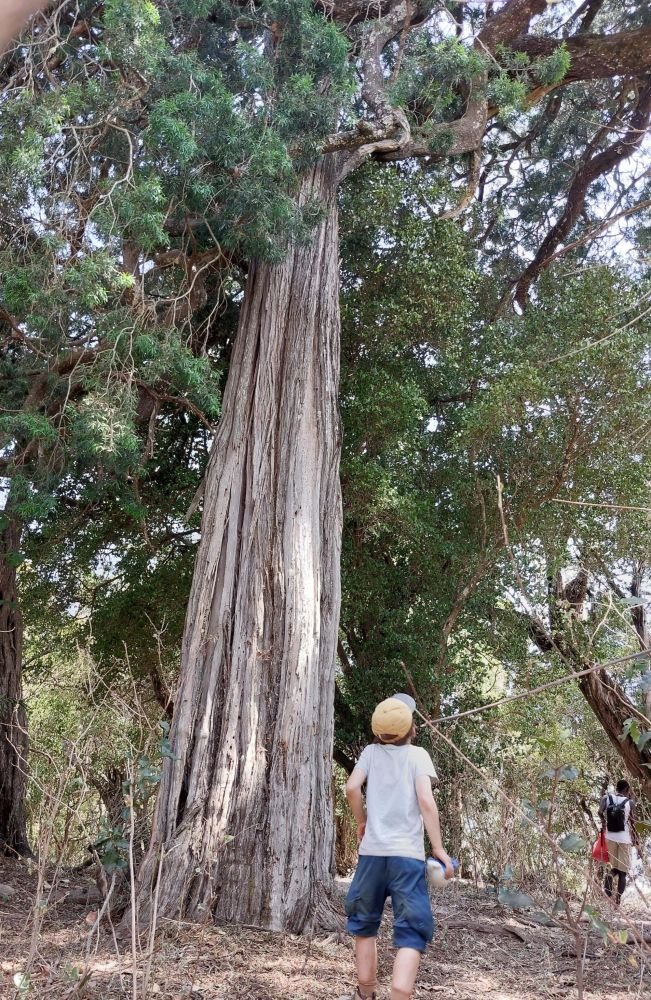 Chemin ascension Ololokwe Kenya