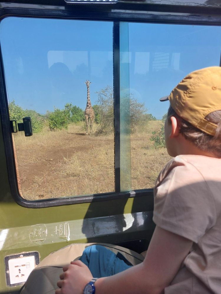 Enfant observation girafe Parc de Meru Kenya