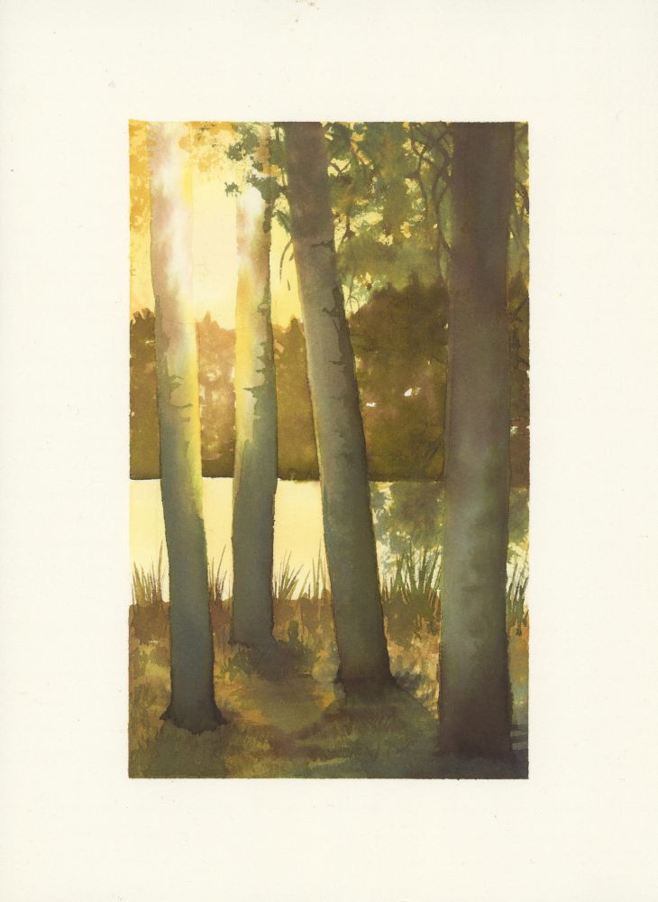 Bord de lac Laponie - aquarelle