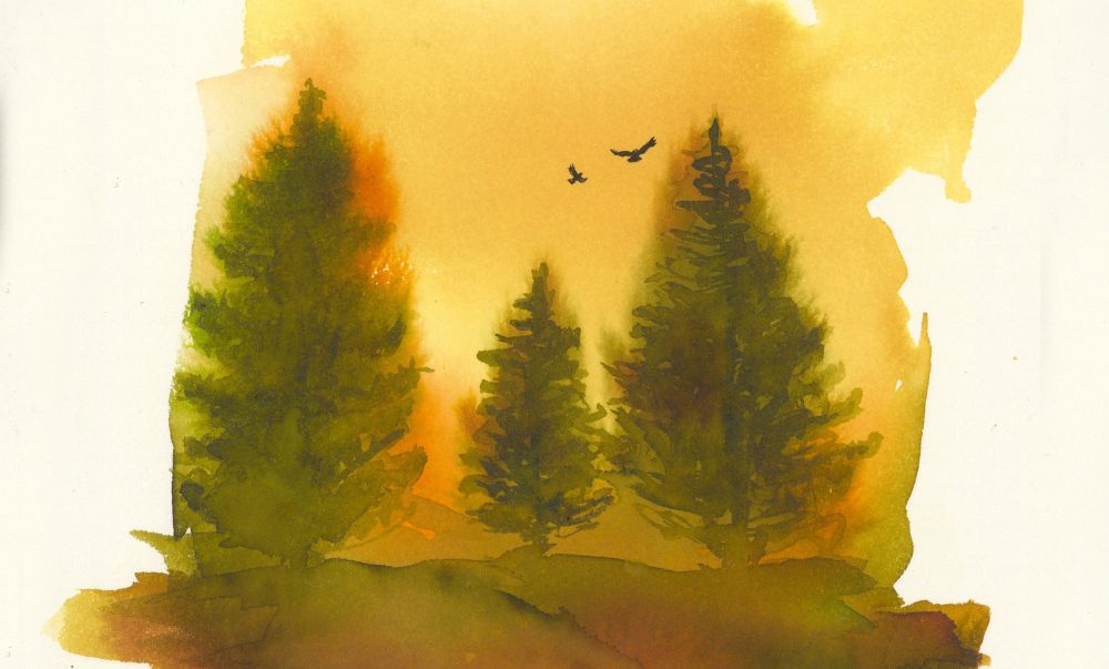 Forêt Lapone, aquarelle