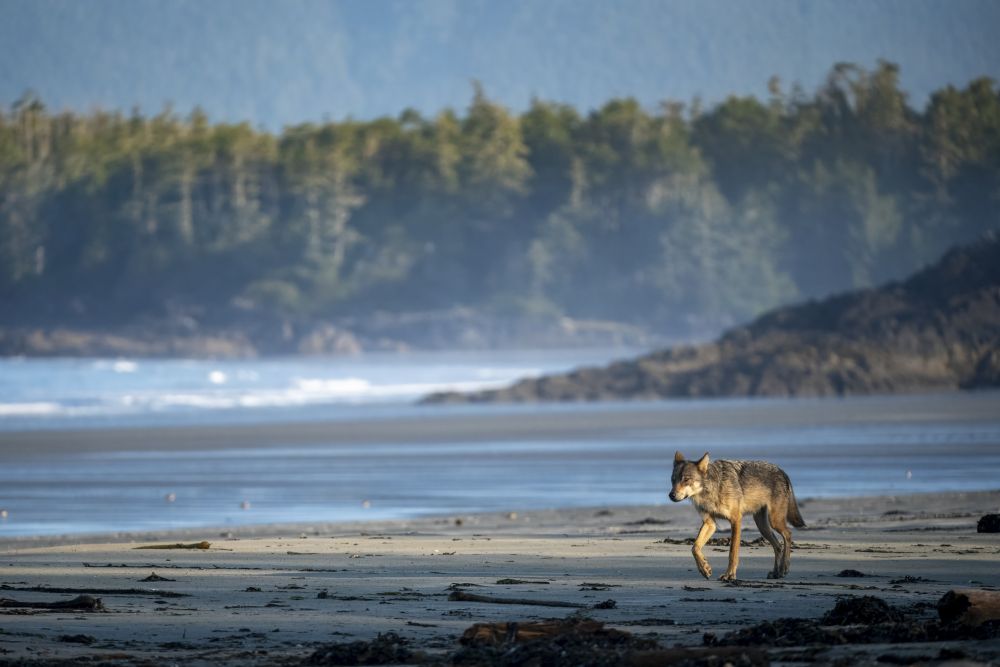 Photo voyage Canada 2