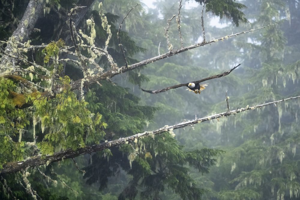 Photo voyage Canada 3