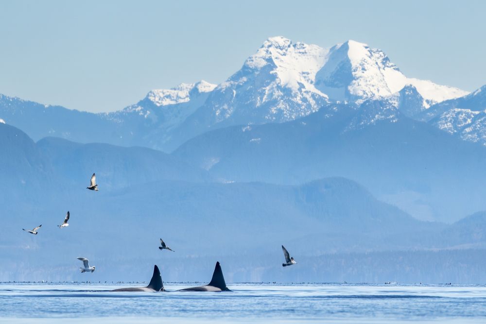 Photo voyage Canada 4