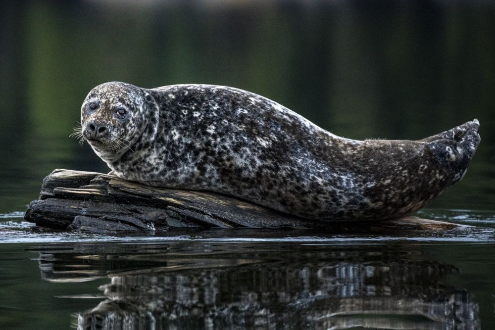 Photo voyage Canada 7