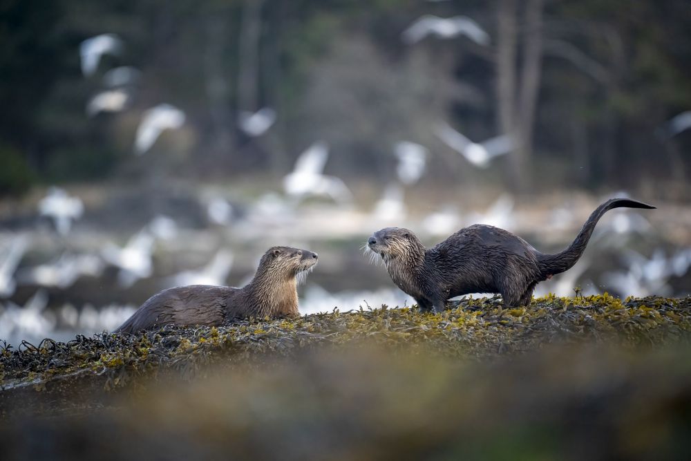 Photo voyage Canada 8