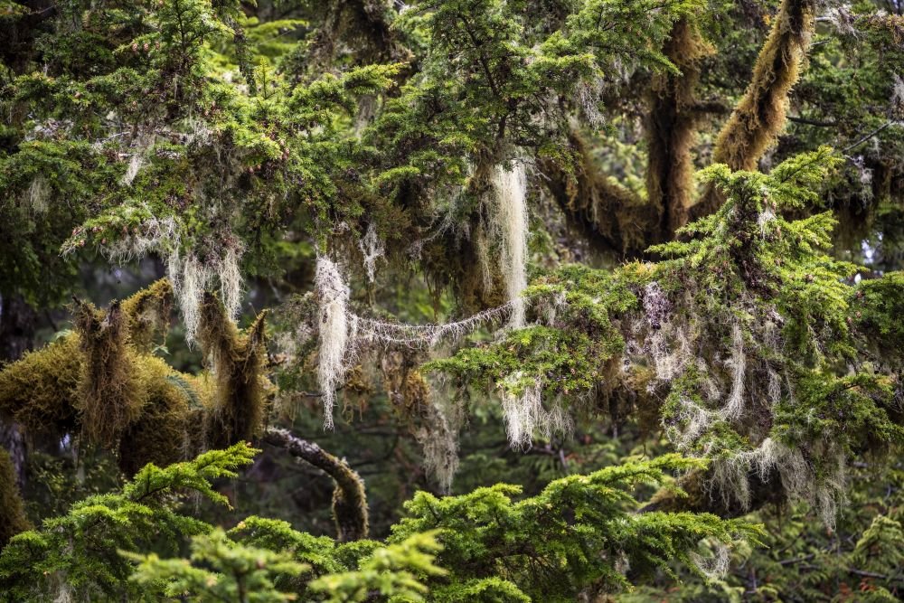 Photo voyage Canada 15