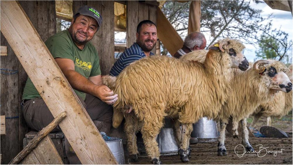 Photo voyage Roumanie 1