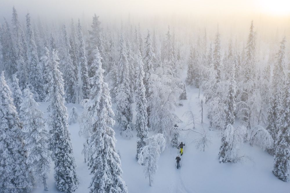 Randonnée Raquette Finlande