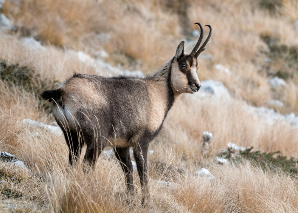 Photo voyage Italie 2