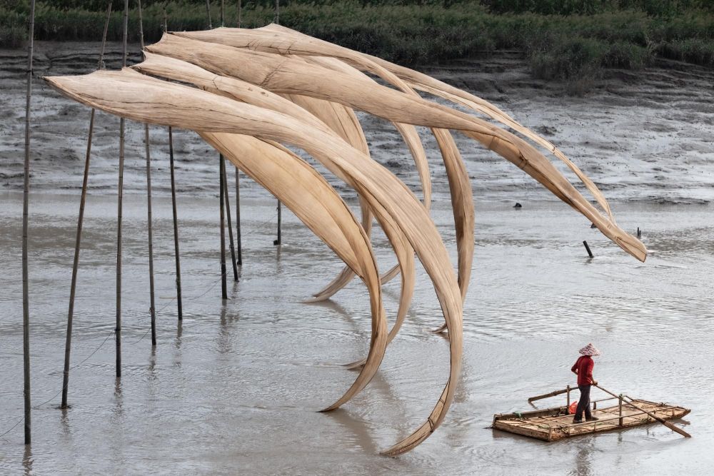 Filets de pêche de Xiapu dns le Fujian