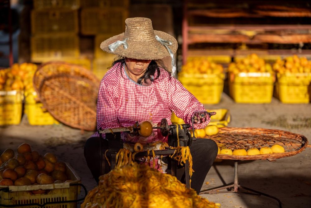 Préparation des kakis séchés traditionnels