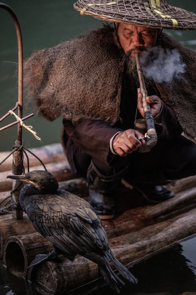 Pêcheur au cormoran - Guilin - Chine
