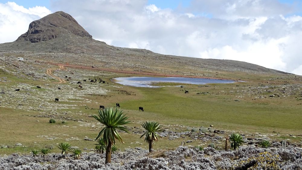 Parc national du Bale