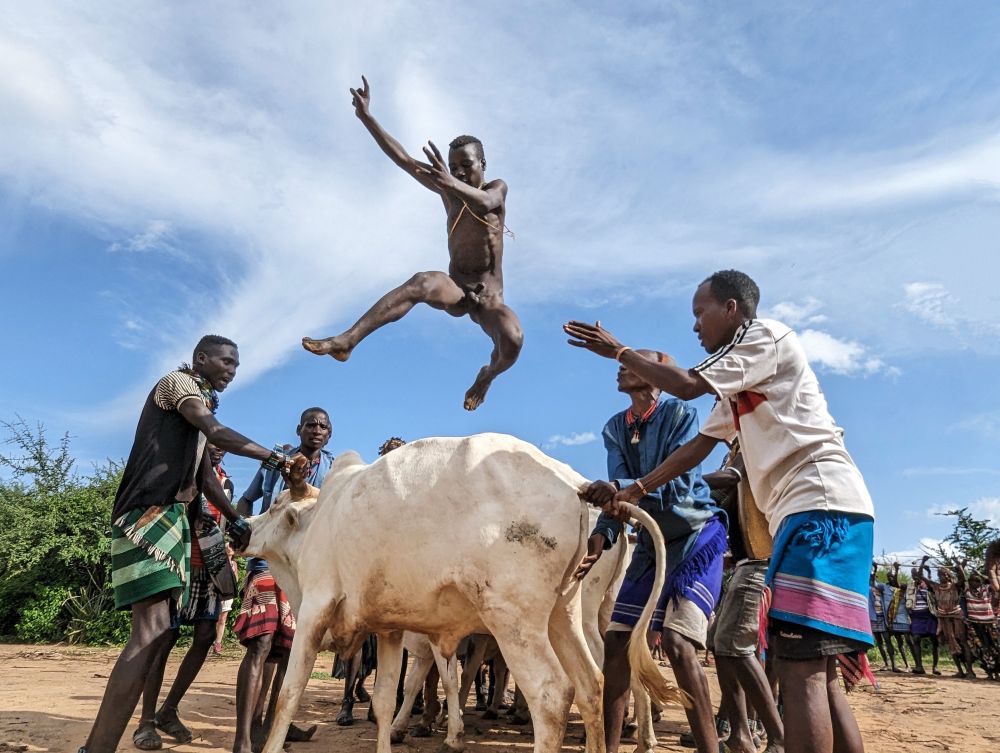 "Ukuli Bula" Le saut du taureau