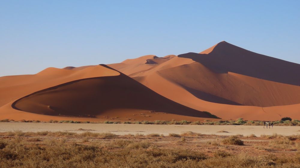 Dunes du Namib