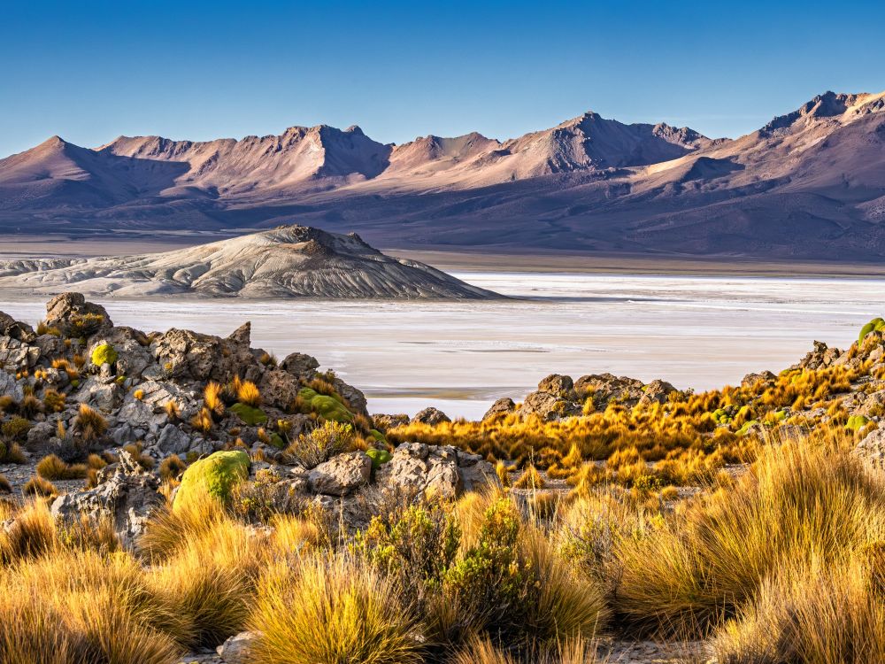 La vue depuis l'île d'Incahuasi sur le Salar d'Uyuni