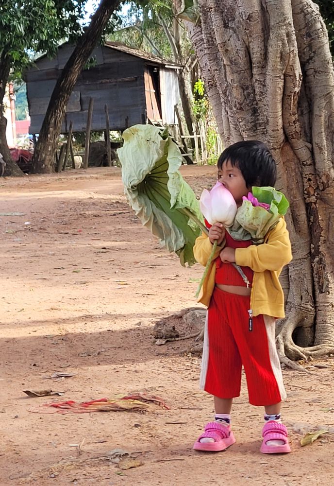 fillette cambodgienne et ses bouquets de fleurs de lotus