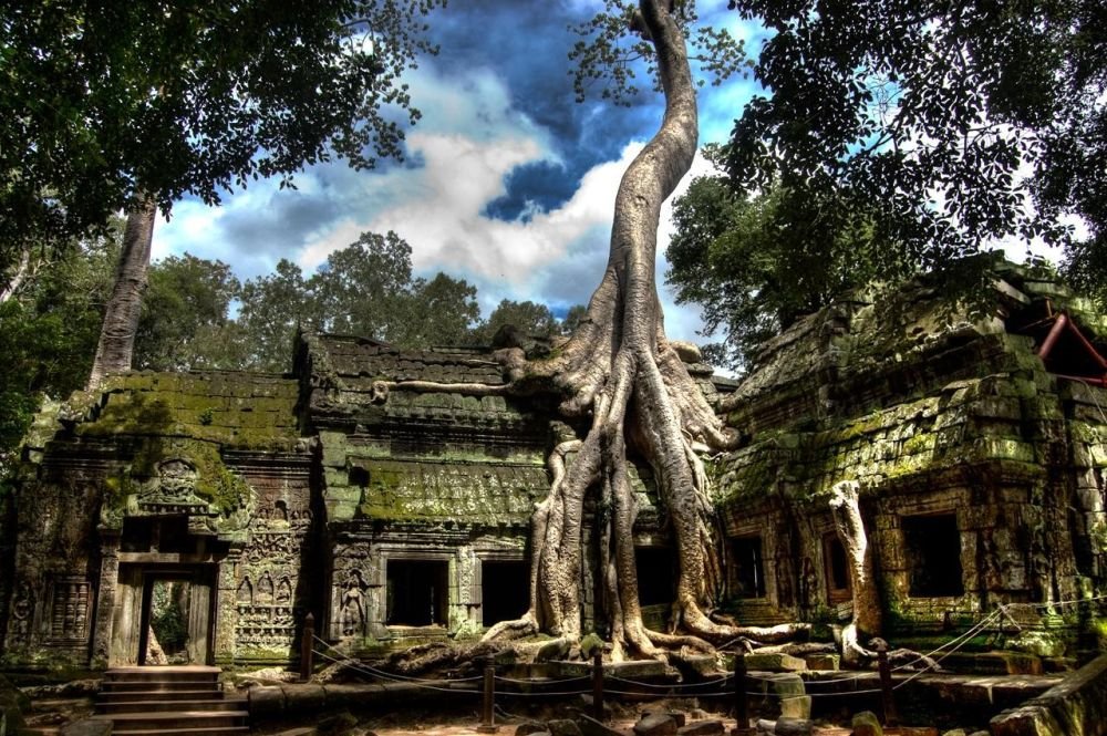 temple de Ta Phrom englouti par la jungle