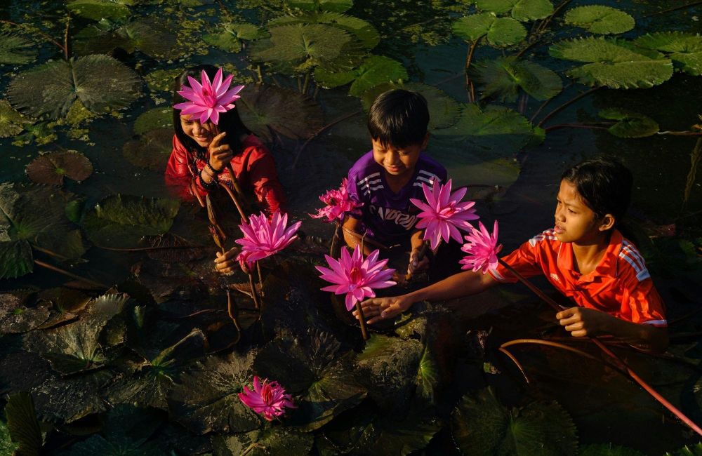 enfants cambodgiens aux fleurs de lotus