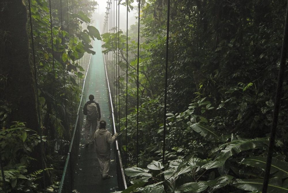 Les ponts suspendus dans la canopée. Une fierté costaricienne!