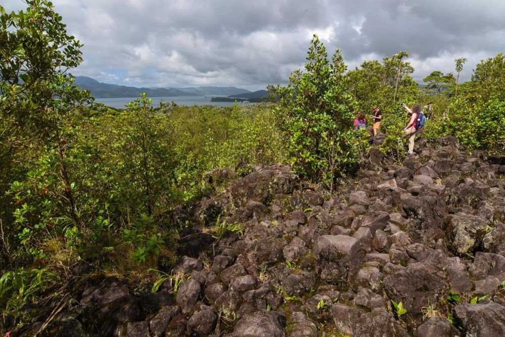 Balade dans le parc national Arenal, sur les anciennes coulées de lave
