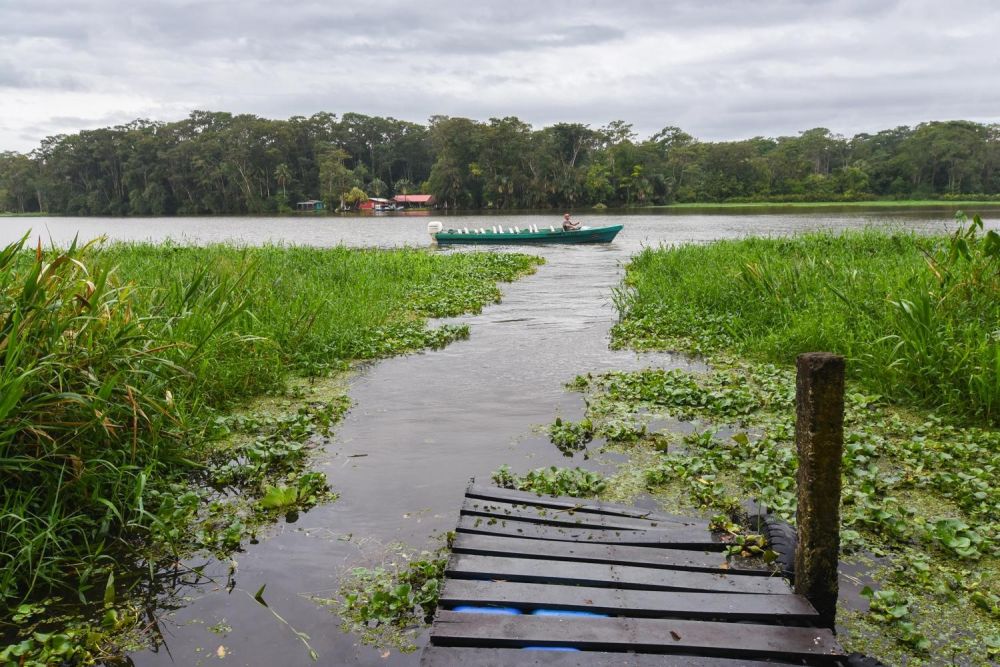 Boca Tapada: balade en bateau sur la rivière San Carlos