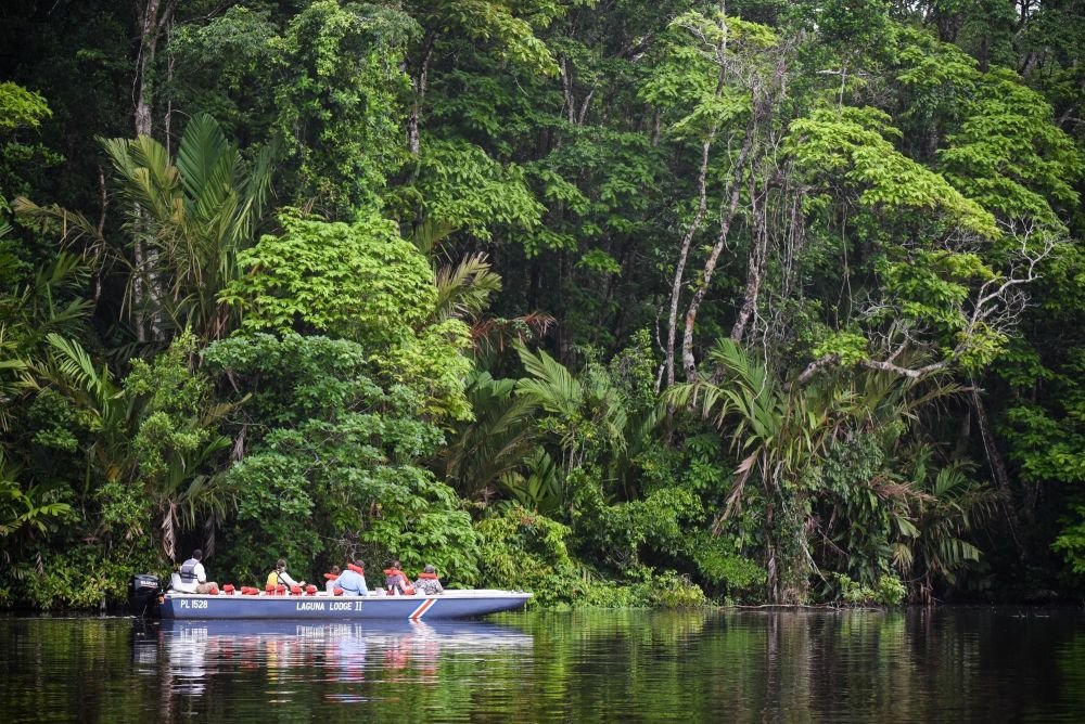 Vers les forêts Caraïbes de Pacuare