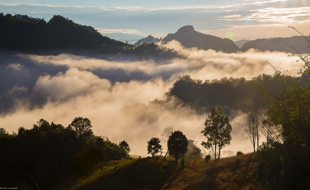 paysage du nord Thailande