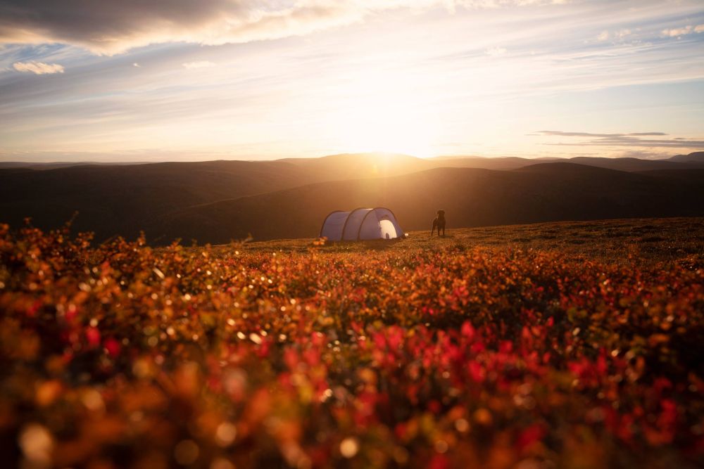 Bivouac dans l'été indien en Laponie