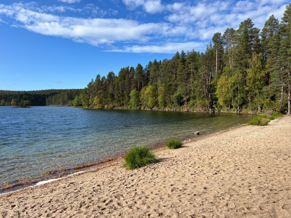 Plage paradisiaque sur le bord d'un lac dans le parc national