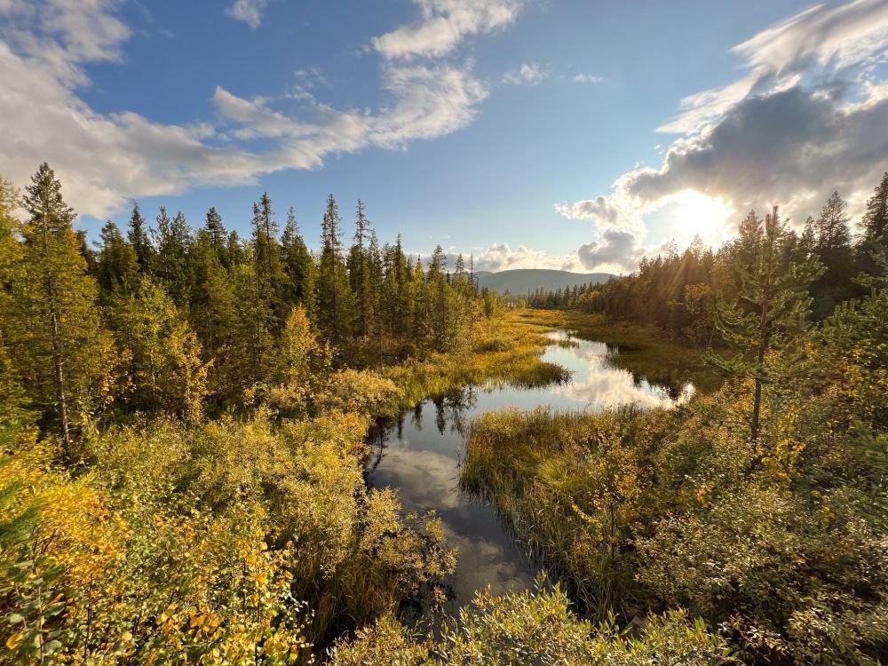 La nature autour du chalet