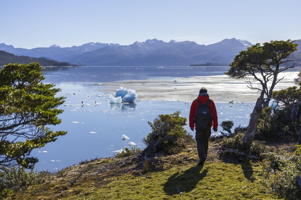 Promenade à pied à marée basse au fond d'une baie de la cordillère de Darwin