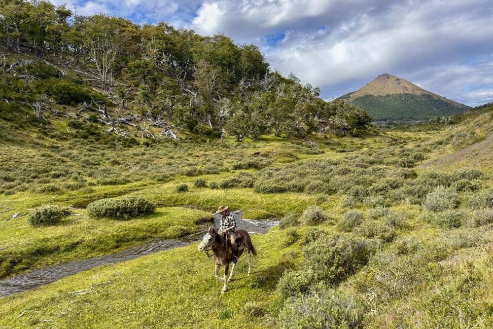 Promenade à cheval au coeur de la Terre de feu en compagnie d'un gaucho local